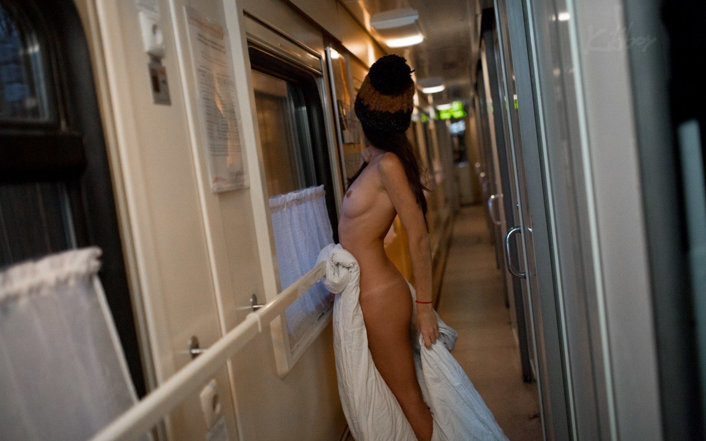 Девки В Поезде Порно