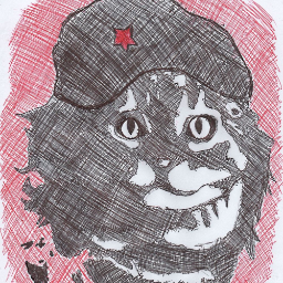 Pavel0499