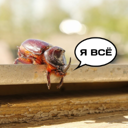 Otvrat