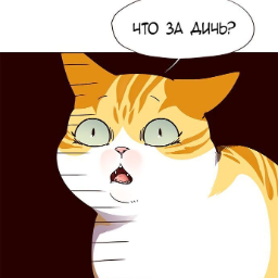 Vzarr