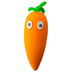 ShaggyCarrot