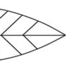 TotIliNeTot