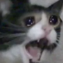 Olegogogo