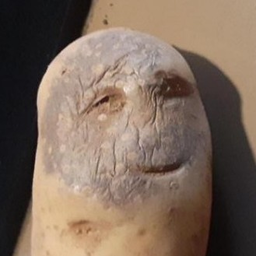 jujujurotmoju1