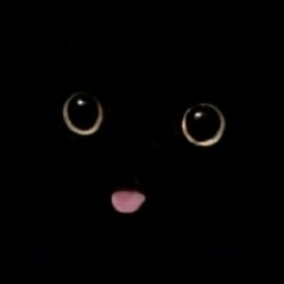 Chokobooo