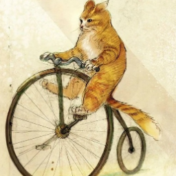 Norco24