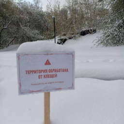 bariska72