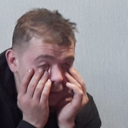 Willikan