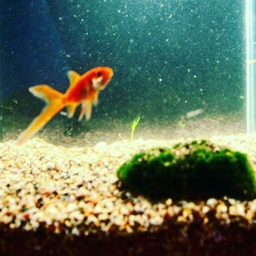 Fishgid