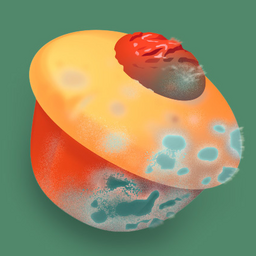 paradoxofdrug