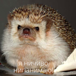 pramen