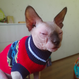 Nadeechka