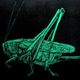 ������ ������������ locust92