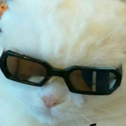 hitrayamardashka