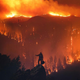 ������ ������������ Firewatch