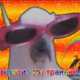 ������ ������������ Chihuahuyenish