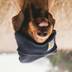 Grin4.89