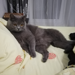 Marixa27
