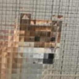 HoodBandicoot