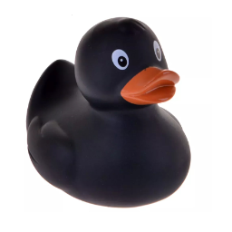 technoduck
