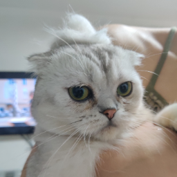 ewMAXIMUS