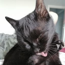 tataline