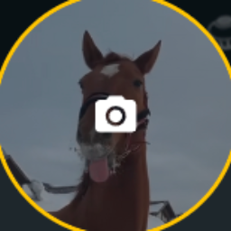 userfortest