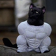 ������ ������������ Tomcat13