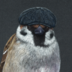 AnimalsPastel
