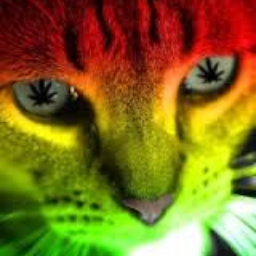 MLGcat