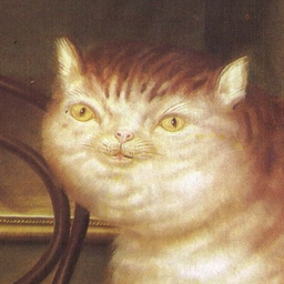 Pufuc