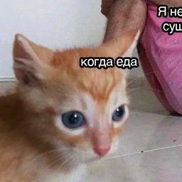 Mrmrmrmrmrmrmrmr