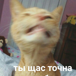 Artemchick