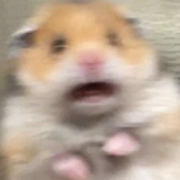 kapitanbanann
