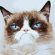 ������ ������������ eatcat
