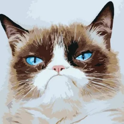 eatcat