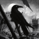 Аватар пользователя ShadowRat007