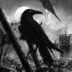 ShadowRat007
