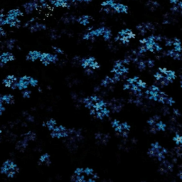 TemnoRij