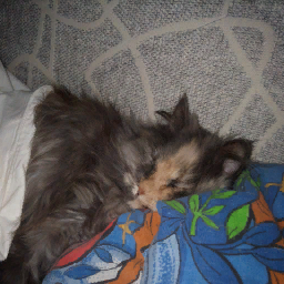 RoseMuffin