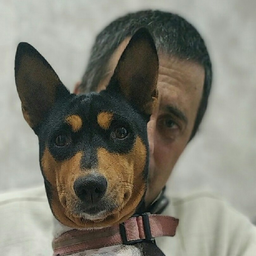 Moatdib