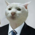 Larrylu