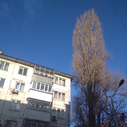 Muzhik2107