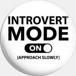 Mode on. Интроверт надпись. Мода для интровертов. Introversion надпись.