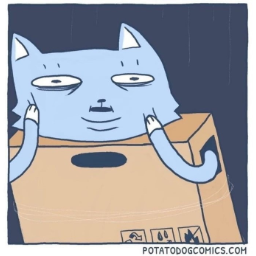Catification