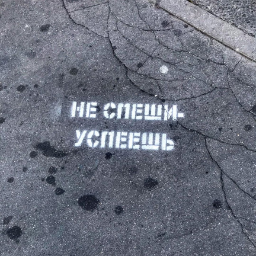 vas0812991