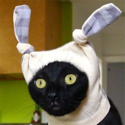 Quantum.Cat