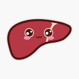 LiverLaughLove