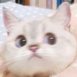 MarkKrass92