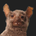 ArxARV